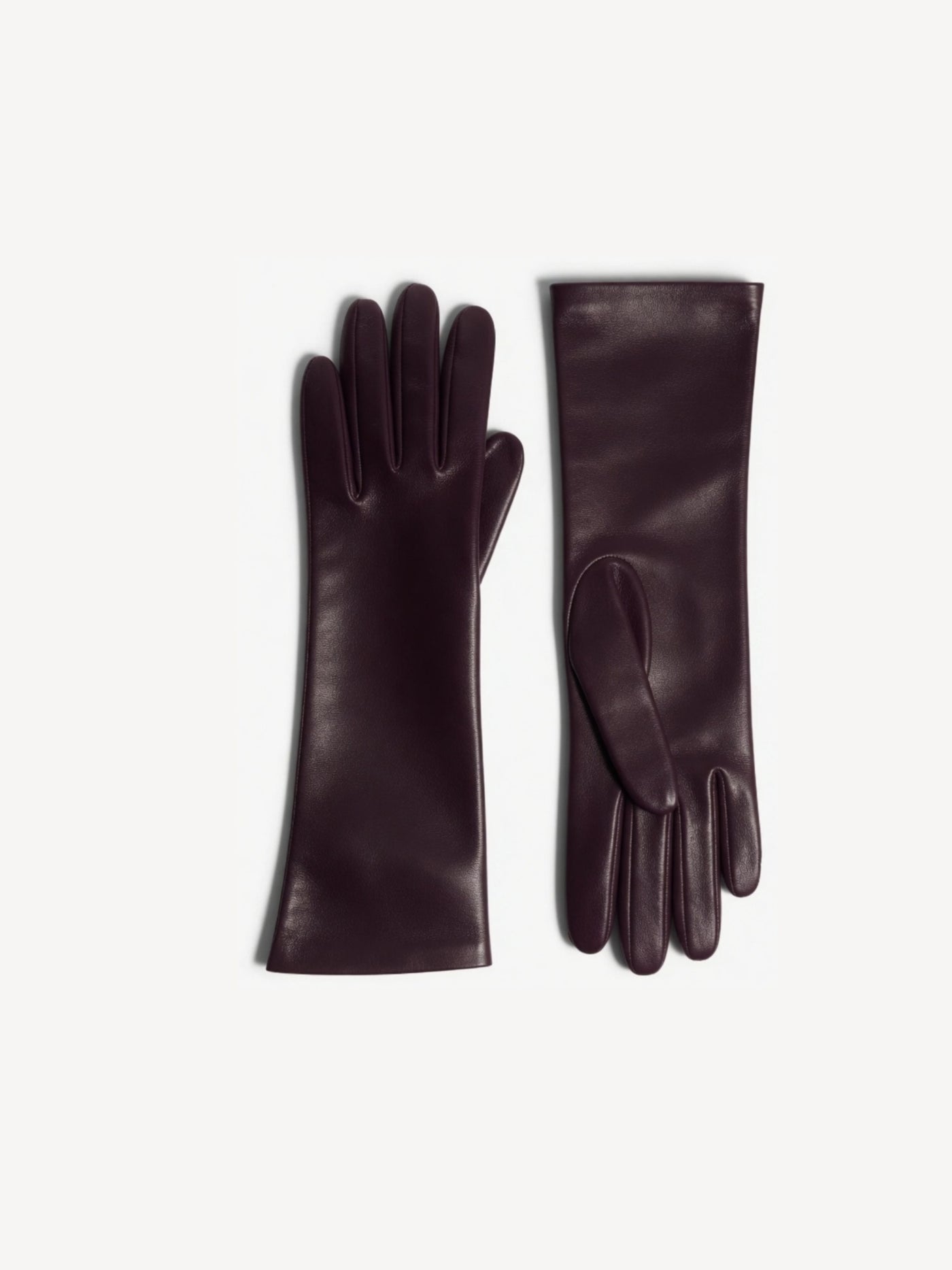 The Long Glove